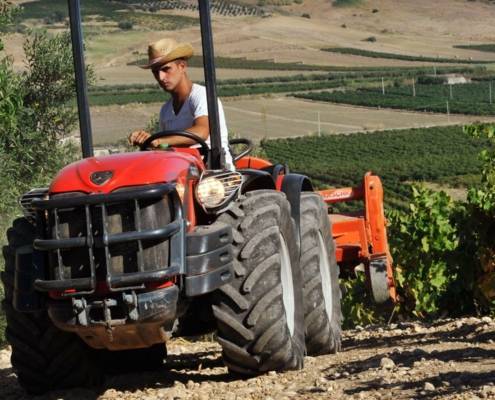 Tractors per a viticultura a Girona