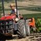 Tractors per a viticultura a Girona